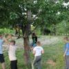 uchebno-trenirovochnye-sbory-leto-2014