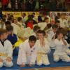 tretiy-tradicionnyy-turnir-po-dzyudo-memorial-vyacheslava-sahnova-2015