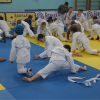 tretiy-tradicionnyy-turnir-po-dzyudo-pamyati-alika-mirzaevicha-mamaeva-2016