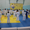 tretiy-tradicionnyy-turnir-po-dzyudo-pamyati-alika-mirzaevicha-mamaeva-2016