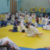 tretiy-tradicionnyy-turnir-po-dzyudo-pamyati-alika-mirzaevicha-mamaeva-2016