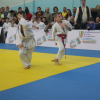 tretiy-tradicionnyy-turnir-po-dzyudo-pamyati-alika-mirzaevicha-mamaeva-2016