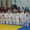 tretiy-tradicionnyy-turnir-po-dzyudo-pamyati-alika-mirzaevicha-mamaeva-2016