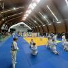 turnir-na-prizy-msmk-sssr-po-dzyudo-avolosova-2026